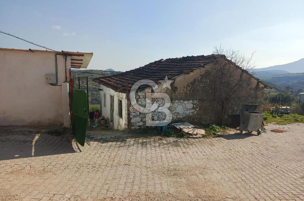 MANİSA SARUHANLI ŞATIRLARDA 875 M² SATILIK EV VE ZEYTİNLİK