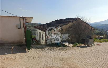 MANİSA SARUHANLI ŞATIRLARDA 875 M² SATILIK EV VE ZEYTİNLİK