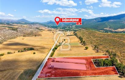 BİLECİK'TE YÜKSEK CİROLU GENİŞ ARAZİDE SATILIK TAVUK ÇİFTLİĞİ