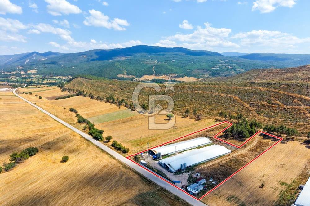 BİLECİK'TE YÜKSEK CİROLU GENİŞ ARAZİDE SATILIK TAVUK ÇİFTLİĞİ