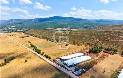 BİLECİK'TE YÜKSEK CİROLU GENİŞ ARAZİDE SATILIK TAVUK ÇİFTLİĞİ