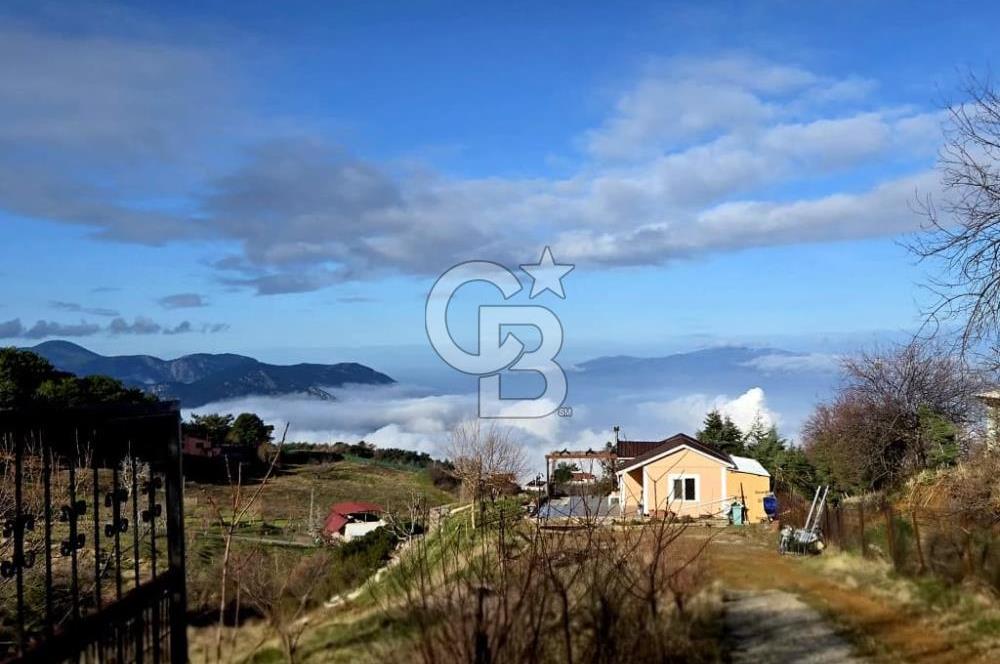 TURGUTALPTE DOĞAYLA İÇ İÇE, EŞSİZ MANZARALI, EVLİ SATILIK TARLA