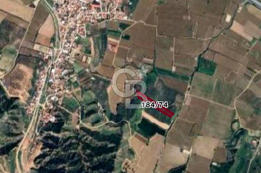 MANİSA SALİHLİ MERSİNDERE’DE 5.010 M² SATILIK TARLA