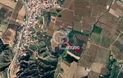 MANİSA SALİHLİ MERSİNDERE’DE 5.010 M² SATILIK TARLA