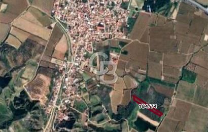 MANİSA SALİHLİ MERSİNDERE’DE 5.010 M² SATILIK TARLA