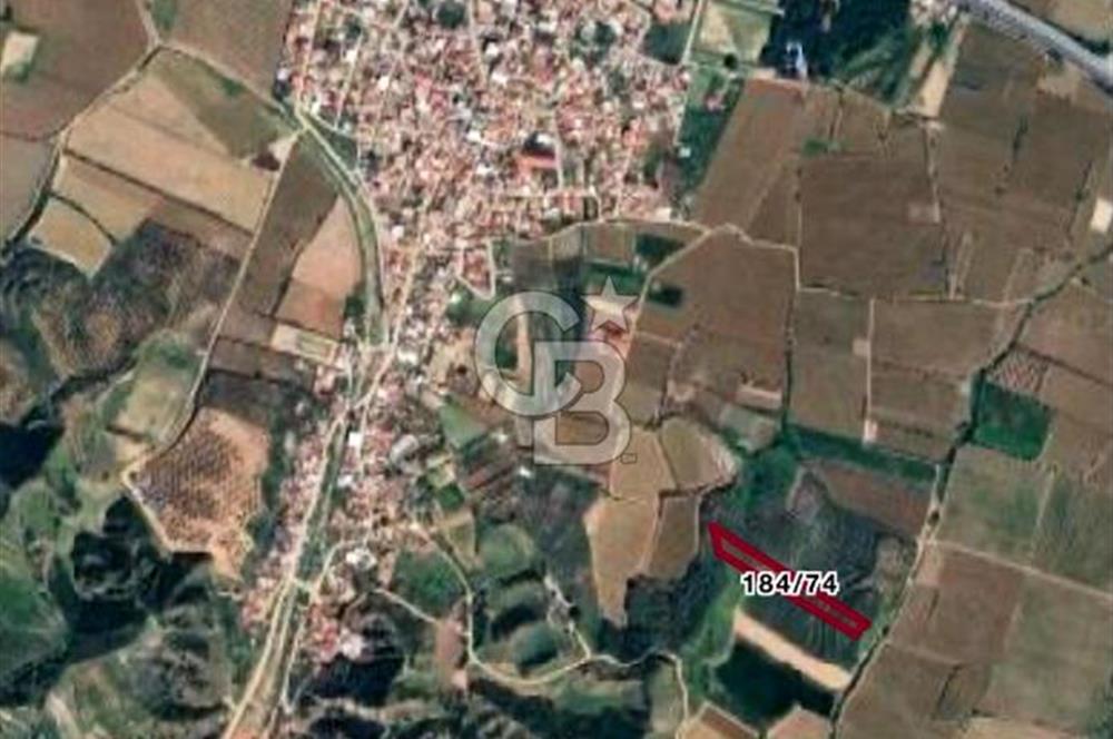 MANİSA SALİHLİ MERSİNDERE’DE 5.010 M² SATILIK TARLA