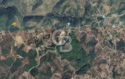 İZMİR SEFERİHİSAR ORHANLI’DA 7.599,50 m² ZEYTİN AĞAÇLI SATILIK TARLA 