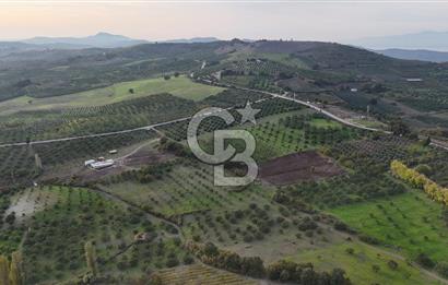 Osmangazi Avdancık'ta Yola Yakın 11.655 m² Satılık Tarla