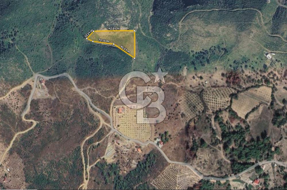İZMİR SEFERİHİSAR ORHANLI’DA 7.599,50 m² ZEYTİN AĞAÇLI SATILIK TARLA 
