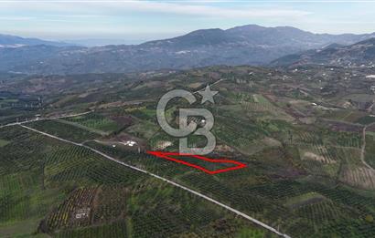 Osmangazi Avdancık'ta Yola Yakın 11.655 m² Satılık Tarla