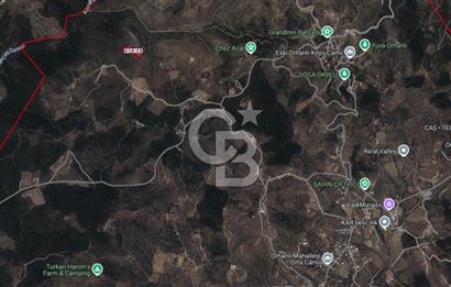 İZMİR SEFERİHİSAR ORHANLI’DA 7.599,50 m² ZEYTİN AĞAÇLI SATILIK TARLA 