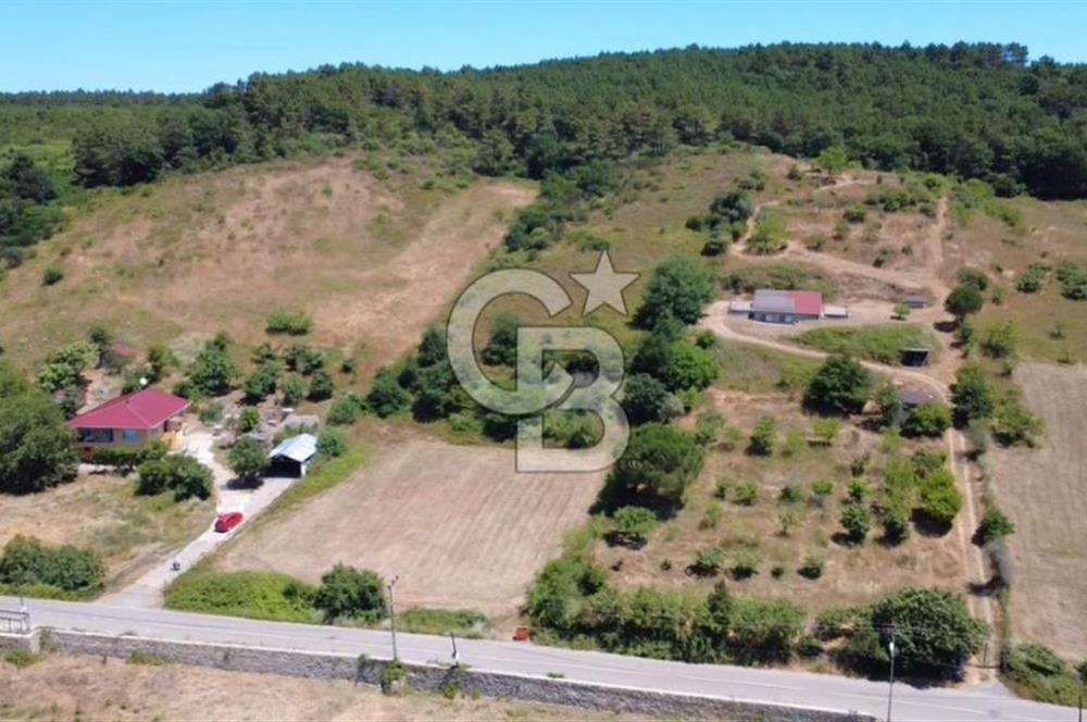 BEYKOZ ANADOLU FENERİNDE YATIRIMLIK ARAZİ 7592