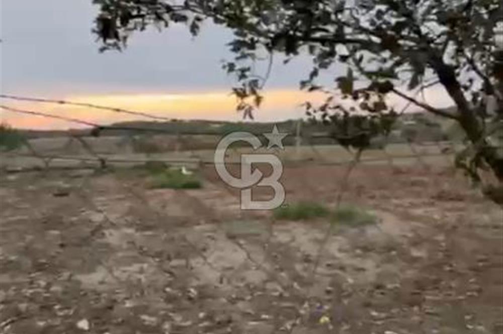 Tekirdağ Süleyman Paşa Ferhadanlı 'da Satılık Arsa