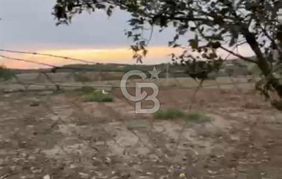 Tekirdağ Süleyman Paşa Ferhadanlı 'da Satılık Arsa