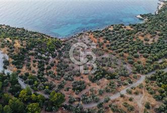 C.B. ROUTE | BADEMLİ | DENİZE 200 METRE | DEĞERLİ BÖLGEDE TARLA - 8 - 378313
