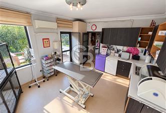 DEVREN KİRALIK VETERİNER KLİNİĞİ | SHOWROOM POTANSİYELLİ VİLLA - 1 - 378379