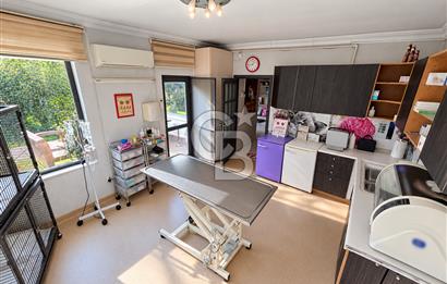 DEVREN KİRALIK VETERİNER KLİNİĞİ | SHOWROOM POTANSİYELLİ VİLLA
