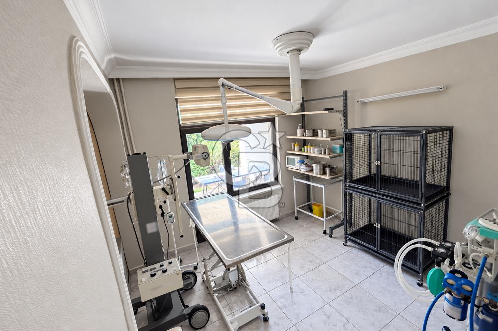 DEVREN KİRALIK VETERİNER KLİNİĞİ | SHOWROOM POTANSİYELLİ VİLLA