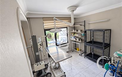 DEVREN KİRALIK VETERİNER KLİNİĞİ | SHOWROOM POTANSİYELLİ VİLLA