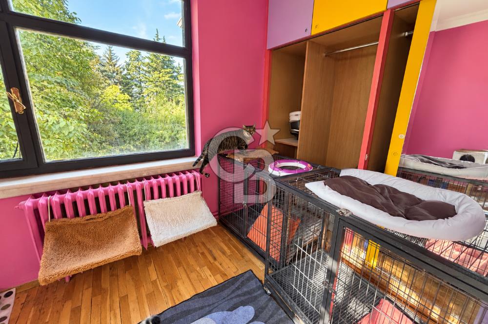 DEVREN KİRALIK VETERİNER KLİNİĞİ | SHOWROOM POTANSİYELLİ VİLLA