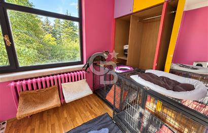 DEVREN KİRALIK VETERİNER KLİNİĞİ | SHOWROOM POTANSİYELLİ VİLLA