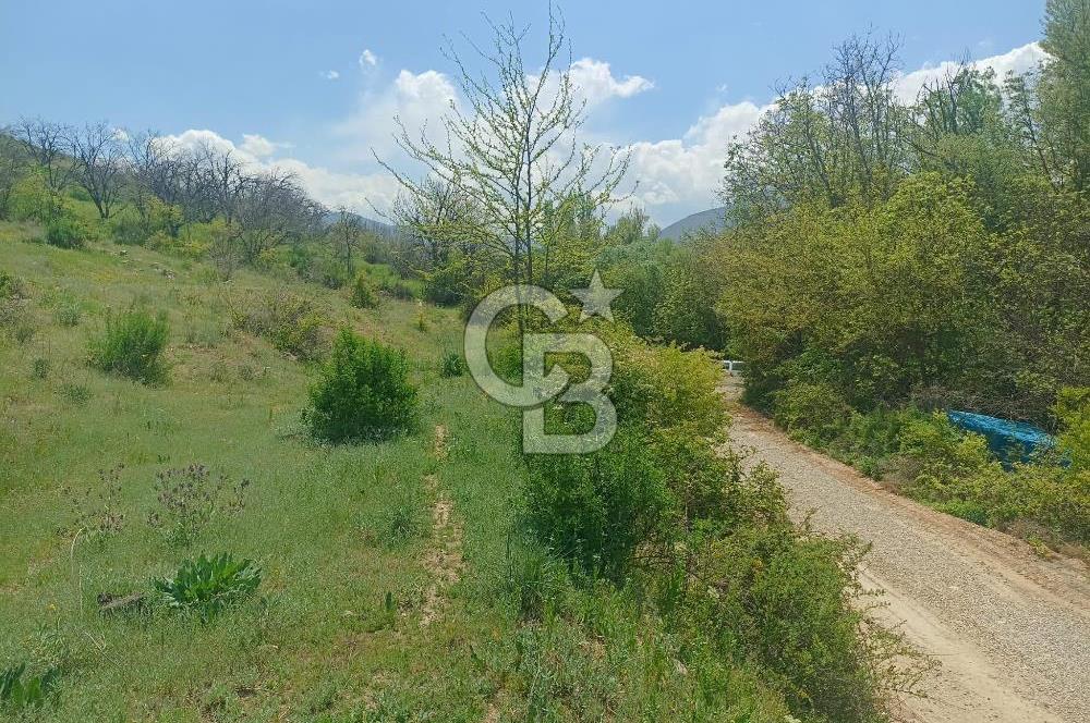 COLDWELL BANKER SAFİR'den YAKINCA da 7360 m² SATILIK TARLA