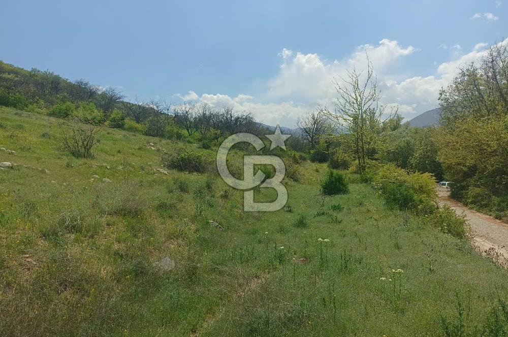 COLDWELL BANKER SAFİR'den YAKINCA da 7360 m² SATILIK TARLA