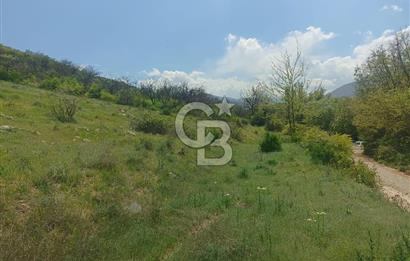 COLDWELL BANKER SAFİR'den YAKINCA da 7360 m² SATILIK TARLA
