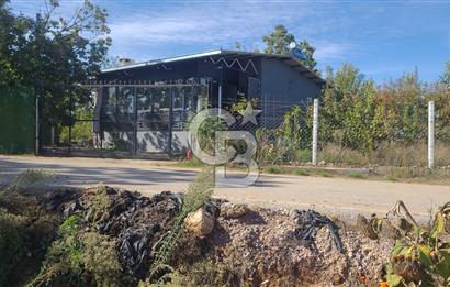 ÖDEMİŞ BIÇAKCI YAYLADA SATILIK BAHÇE İÇİNDE 2+1 MÜSTAKİL EV