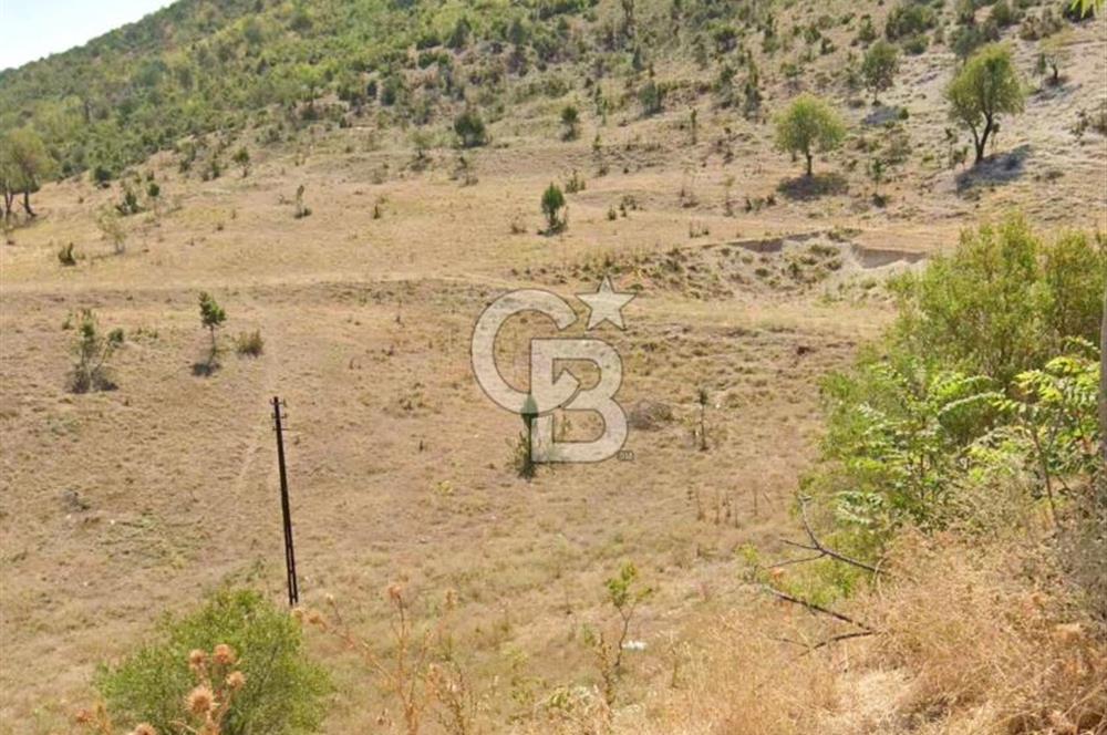 BİLECİK VEZİRHAN TAŞKÖPRÜ DE SATILIK ARSA