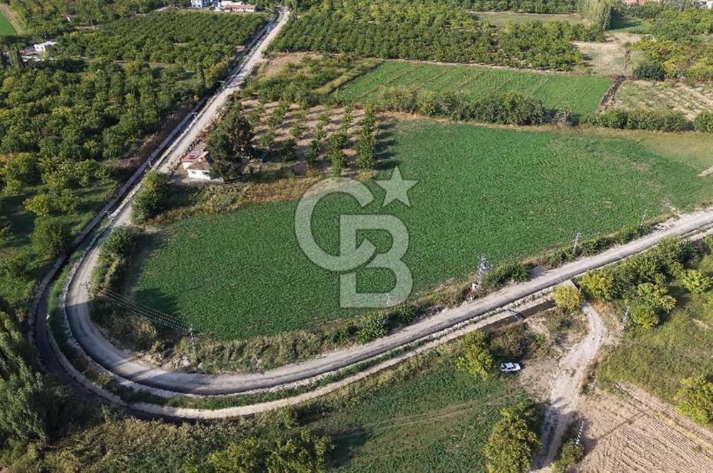 COLDWELL BANKER SAFİR'den GÖL MANZARALI SATILIK TARLA