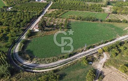 COLDWELL BANKER SAFİR'den GÖL MANZARALI SATILIK TARLA