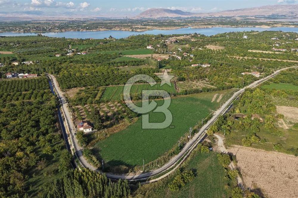 COLDWELL BANKER SAFİR'den GÖL MANZARALI SATILIK TARLA