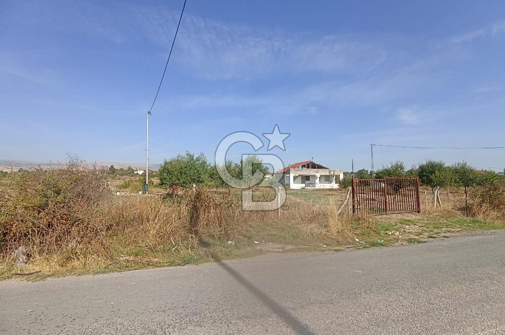 COLDWELL BANKER SAFİR'den AKÇADAĞ da 22.498 m² SATILIK TARLA