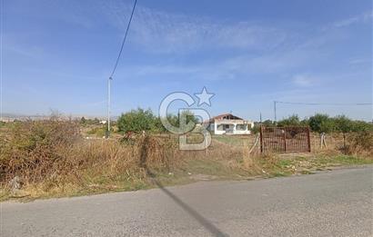 COLDWELL BANKER SAFİR'den AKÇADAĞ da 22.498 m² SATILIK TARLA