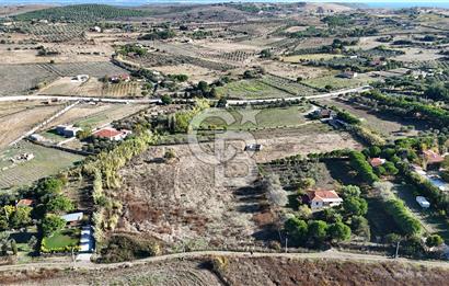 ÇANAKKALE BOZCAADA PAPAZBAHÇE MEVKİİ 10.057 m² SATILIK TARLA 