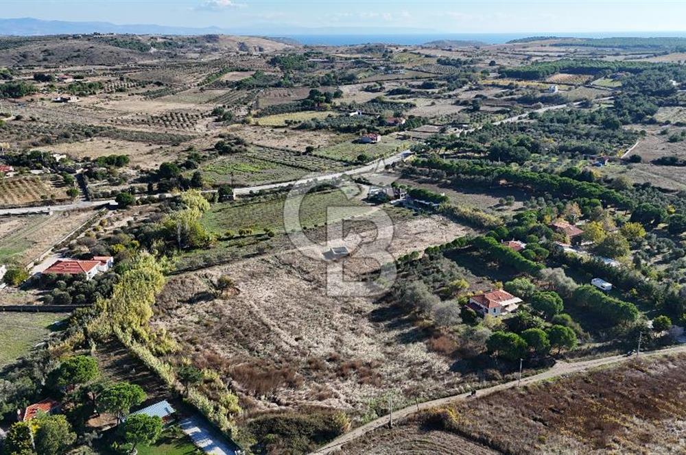 ÇANAKKALE BOZCAADA PAPAZBAHÇE MEVKİİ 10.057 m² SATILIK TARLA 