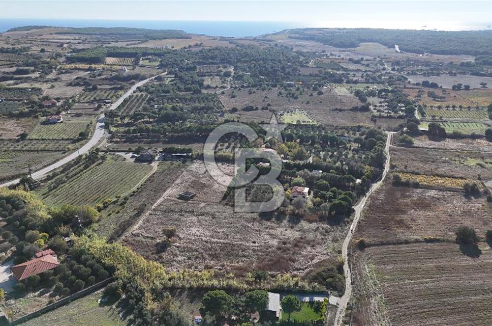 ÇANAKKALE BOZCAADA PAPAZBAHÇE MEVKİİ 10.057 m² SATILIK TARLA 