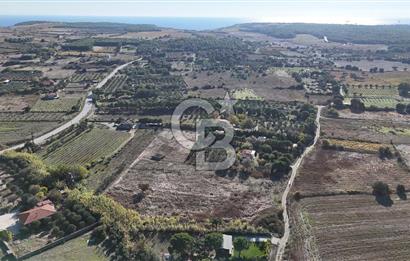 ÇANAKKALE BOZCAADA PAPAZBAHÇE MEVKİİ 10.057 m² SATILIK TARLA 