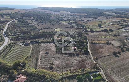 ÇANAKKALE BOZCAADA PAPAZBAHÇE MEVKİİ 10.057 m² SATILIK TARLA 