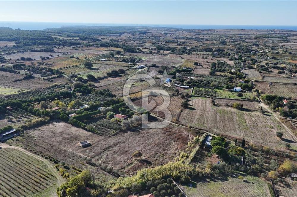 ÇANAKKALE BOZCAADA PAPAZBAHÇE MEVKİİ 10.057 m² SATILIK TARLA 