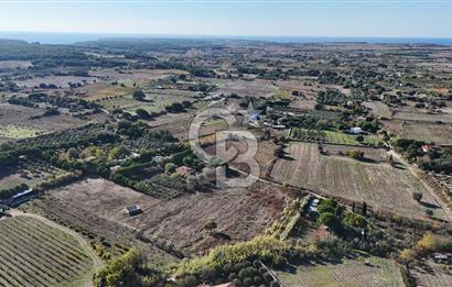 ÇANAKKALE BOZCAADA PAPAZBAHÇE MEVKİİ 10.057 m² SATILIK TARLA 