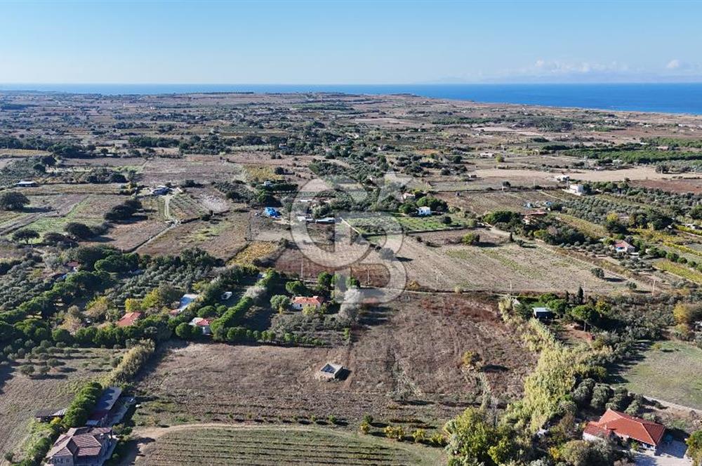ÇANAKKALE BOZCAADA PAPAZBAHÇE MEVKİİ 10.057 m² SATILIK TARLA 