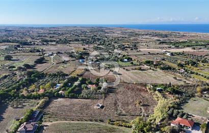 ÇANAKKALE BOZCAADA PAPAZBAHÇE MEVKİİ 10.057 m² SATILIK TARLA 