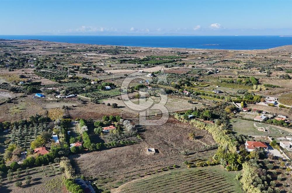 ÇANAKKALE BOZCAADA PAPAZBAHÇE MEVKİİ 10.057 m² SATILIK TARLA 