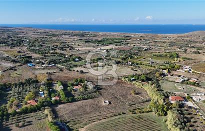 ÇANAKKALE BOZCAADA PAPAZBAHÇE MEVKİİ 10.057 m² SATILIK TARLA 