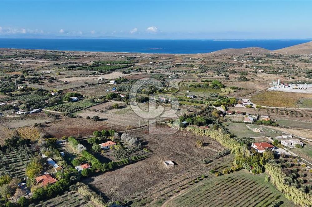 ÇANAKKALE BOZCAADA PAPAZBAHÇE MEVKİİ 10.057 m² SATILIK TARLA 