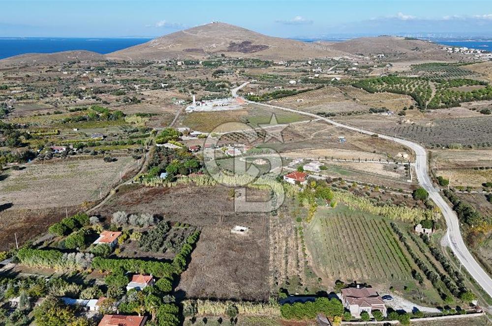 ÇANAKKALE BOZCAADA PAPAZBAHÇE MEVKİİ 10.057 m² SATILIK TARLA 