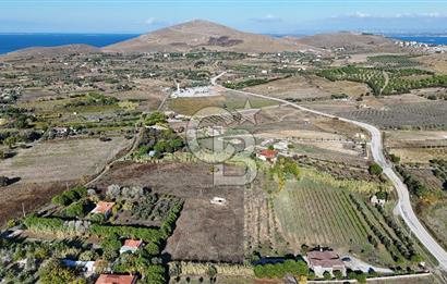 ÇANAKKALE BOZCAADA PAPAZBAHÇE MEVKİİ 10.057 m² SATILIK TARLA 