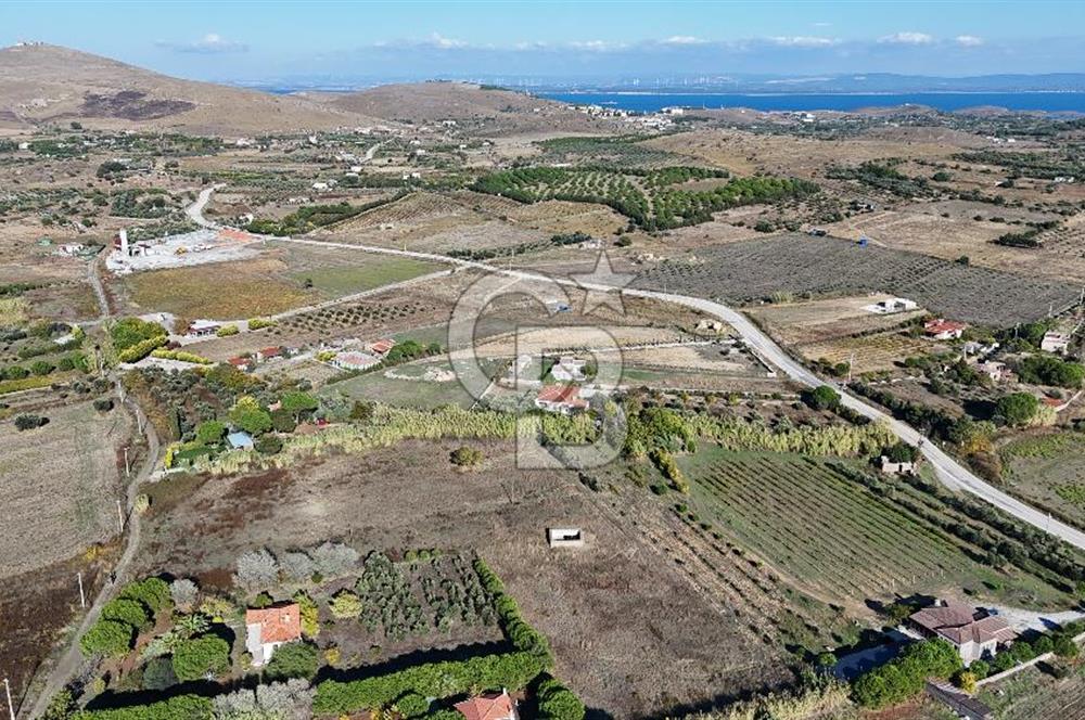 ÇANAKKALE BOZCAADA PAPAZBAHÇE MEVKİİ 10.057 m² SATILIK TARLA 